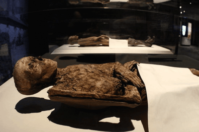 Abbildung Mumie Obrist von Holz